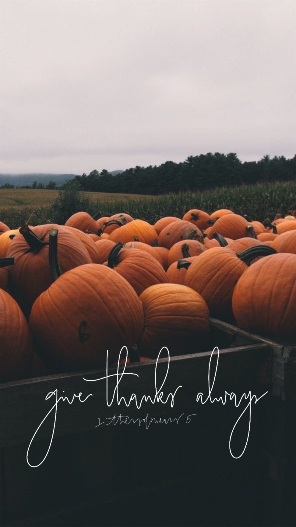 autumn christian  iphone wallpaper