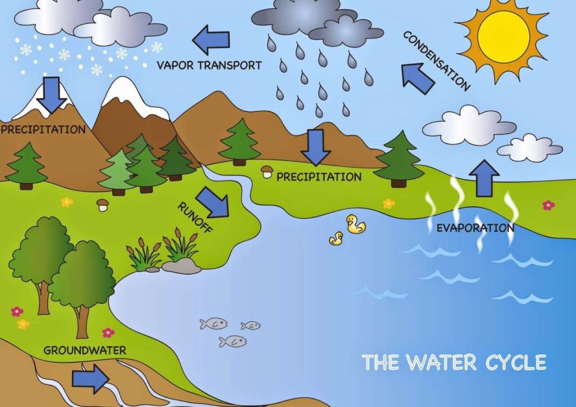 gambar siklus air dan penjelasannya